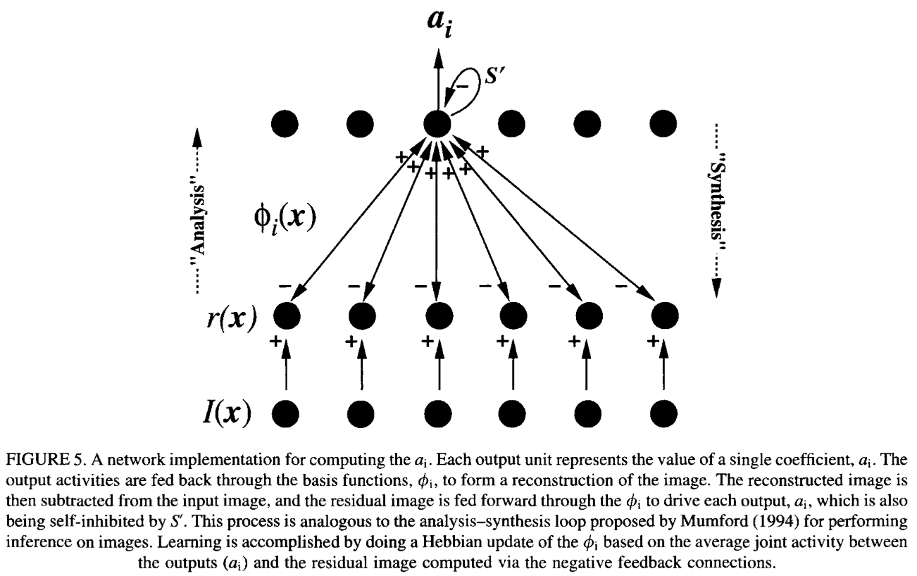 sparse coding model