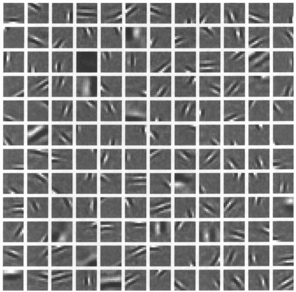 sparse coding basis